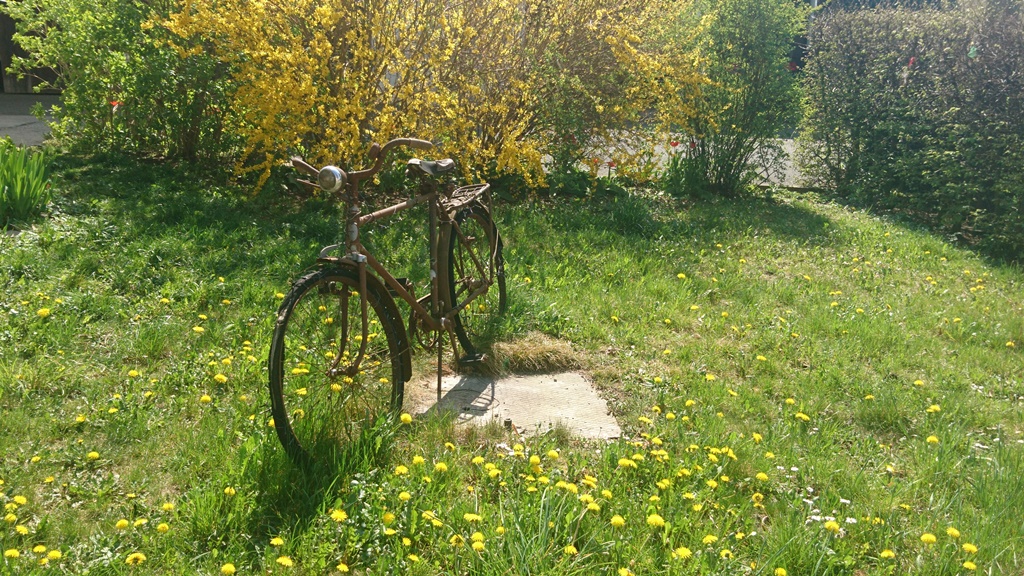 Fahrrad Impuls