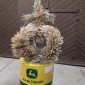 Erntedank-Krone