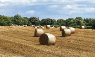 Strohballen auf gemähtem Feld im Querformat