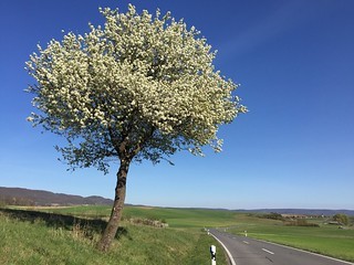 Frühling in Franken