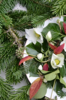Christrosen