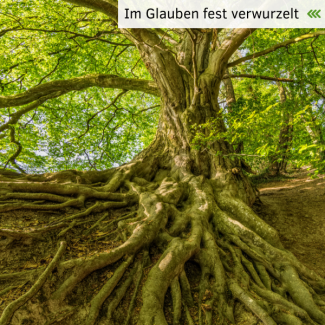 WaldSinnFührung